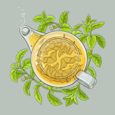 Stevia çay illüstrasyon