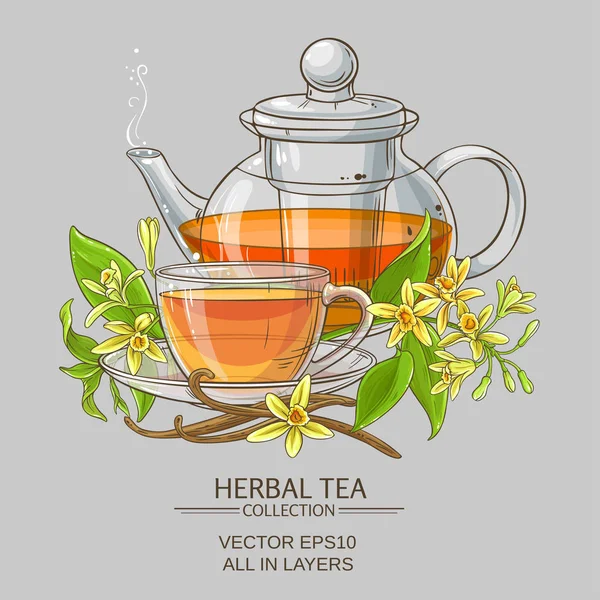 Vanilya çay illüstrasyon — Stok Vektör