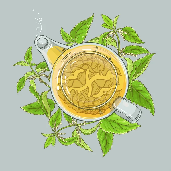 Nettle tea illustration — Stock Vector