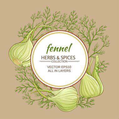 rezene vektör çerçeve