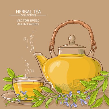 adaçayı çay illüstrasyon