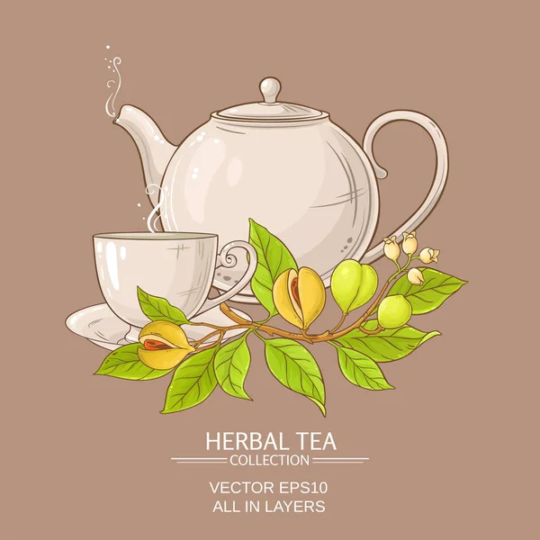 Muškátový oříšek čaj ilustrace — Stockový vektor
