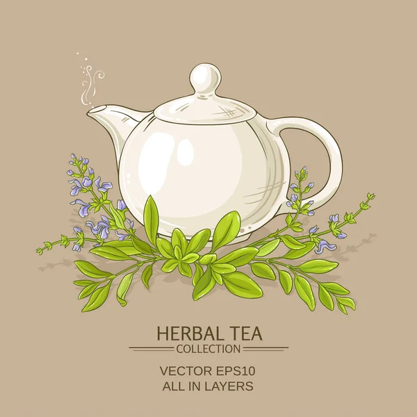 Illustrazione tè salvia — Vettoriale Stock