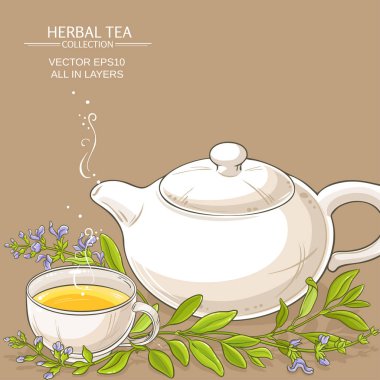 adaçayı çay illüstrasyon