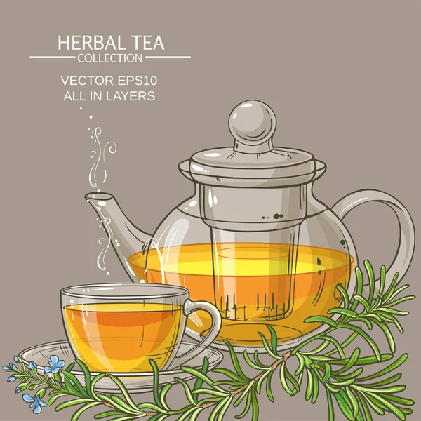 Εικονογράφηση τσάι δενδρολίβανο — Διανυσματικό Αρχείο