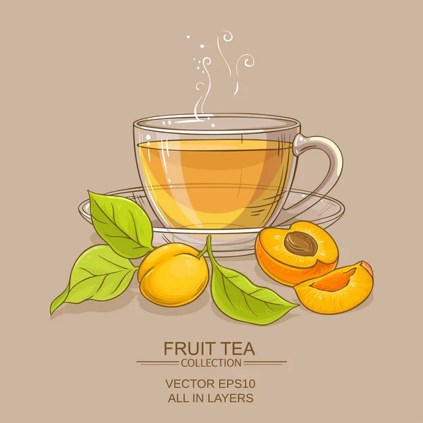 Ilustración de té de albaricoque — Vector de stock