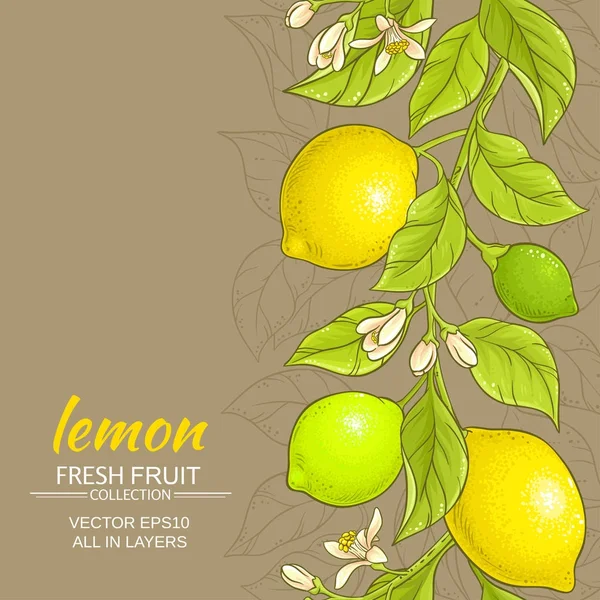 Limon vektör arka plan — Stok Vektör