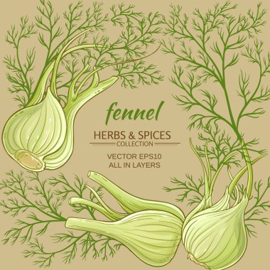 rezene vektör çerçeve