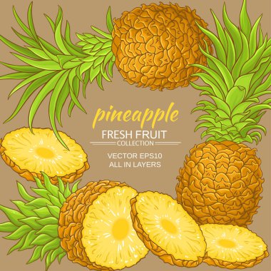 ananas vektör çerçeve