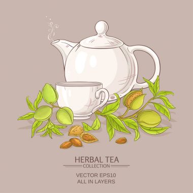 badem çay illüstrasyon