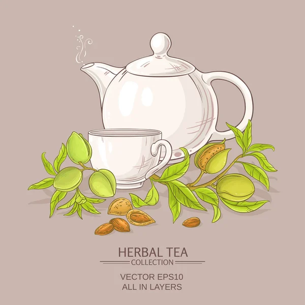 Ilustração de chá de amêndoa — Vetor de Stock