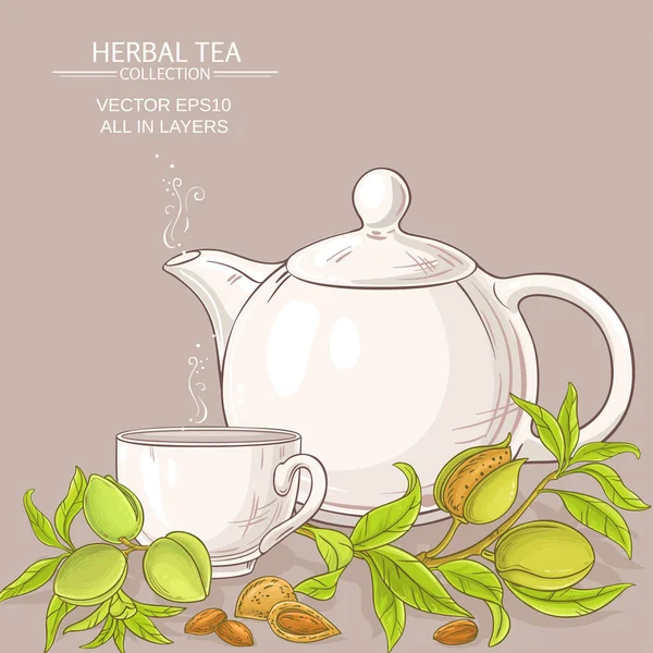 Ilustración de té de almendras — Vector de stock