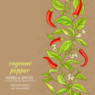 acı biber vektör arka plan