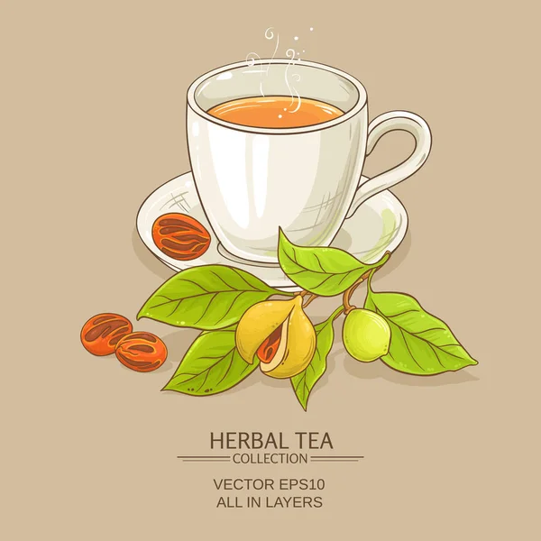 Кружка мускатного чая — стоковый вектор