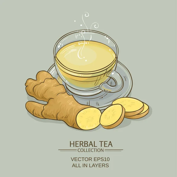 Имбирный чай — стоковый вектор
