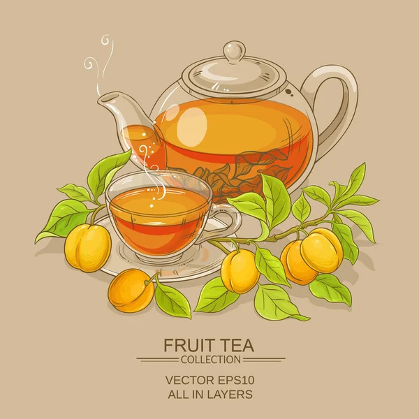 Ilustração de chá de damasco —  Vetores de Stock