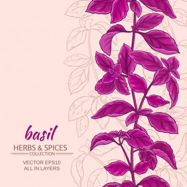 fesleğen vektör arka plan