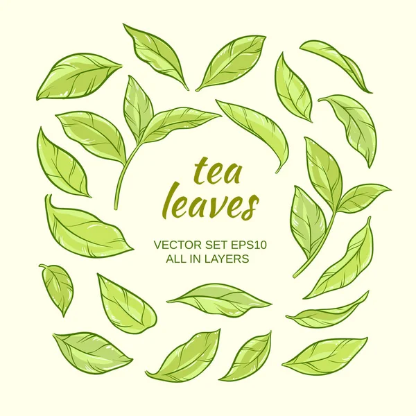 Набор чайных листьев — стоковый вектор