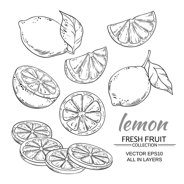 векторный набор лимона
