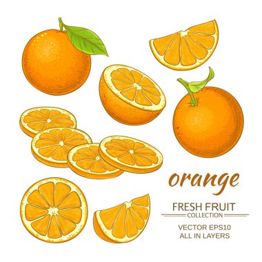 Turuncu vektör seti