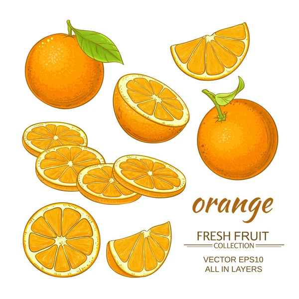 Turuncu vektör seti