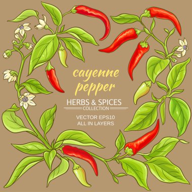 acı biber çerçeve