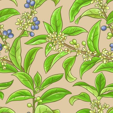 Osmanthus vektör desen