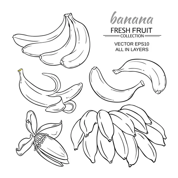 Banana frutas vetor definido — Vetor de Stock