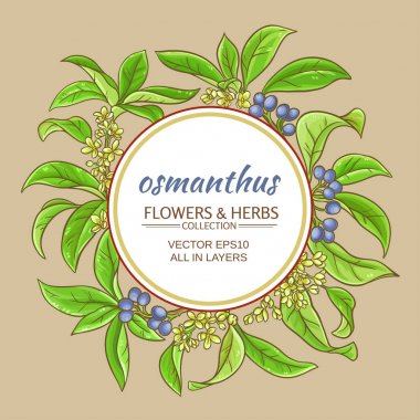Osmanthus vektör çerçeve