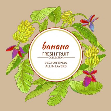 Babana vektör çerçeve