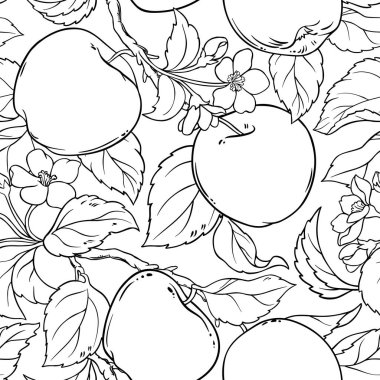 elma seamless modeli