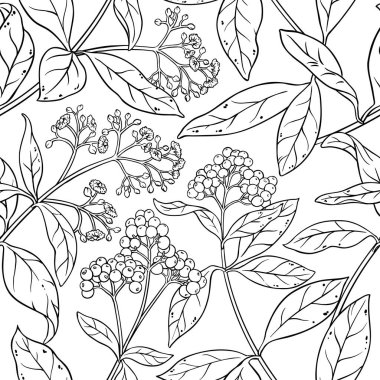 Yenibahar seamless modeli