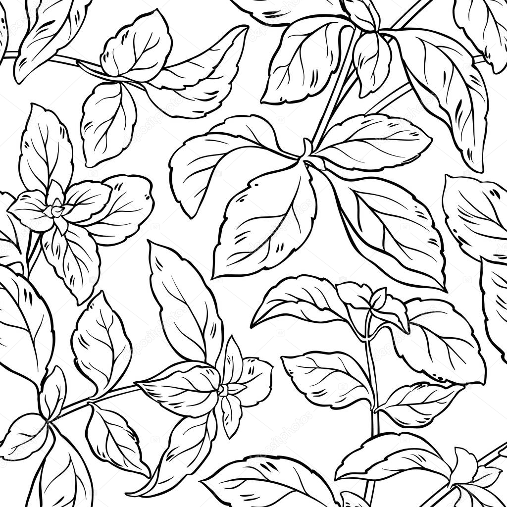 basil seamless pattern