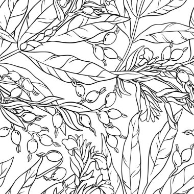 kakule seamless modeli