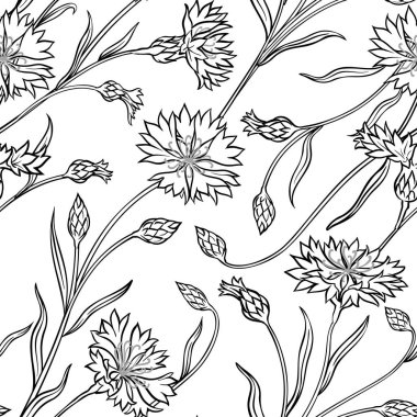 Cornflower seamless modeli