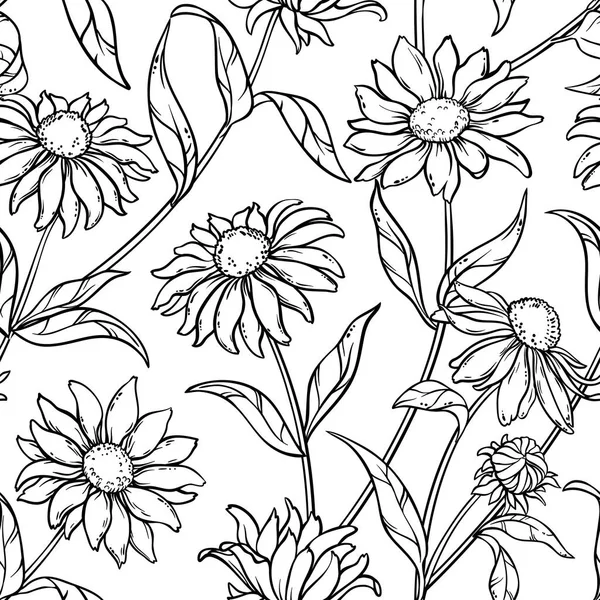 Echinacea 원활한 패턴 — 스톡 벡터