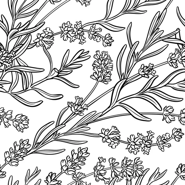 lavender seamless pattern