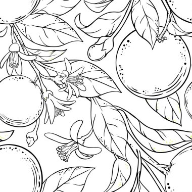 Turuncu seamless modeli