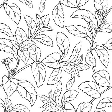 Stevia sorunsuz bilmece