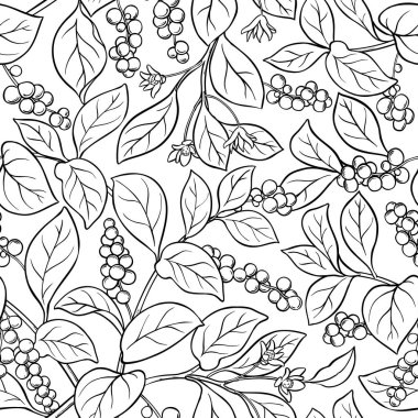 Schisandra seamless modeli