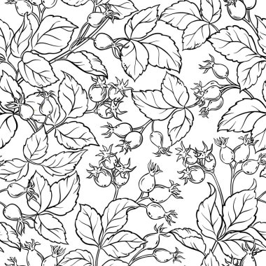 Vahşi Gül Kusursuz Şablon