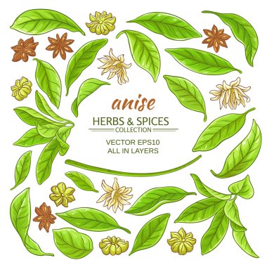 Anason öğeleri kümesi