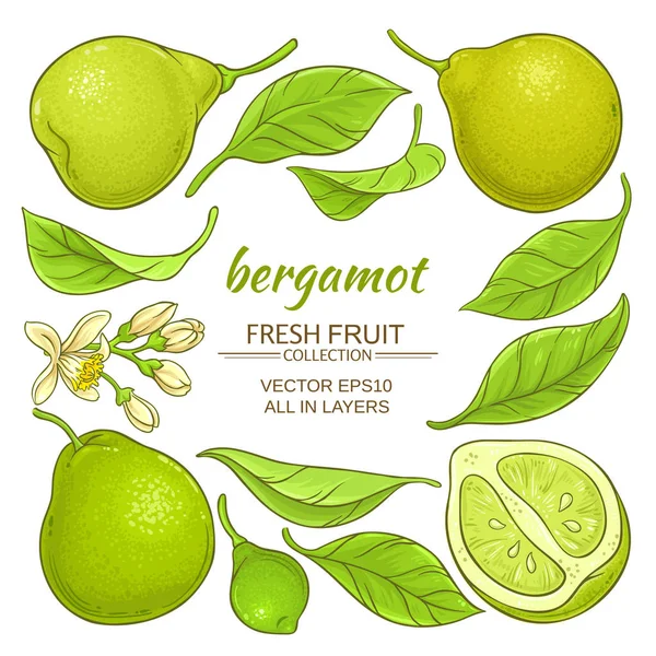 Conjunto de elementos de bergamota — Vector de stock