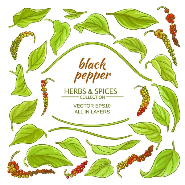 Black ground pepper elements set — Stock Vector
