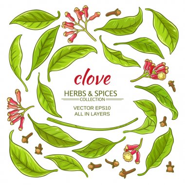 öğeleri kümesi karanfil