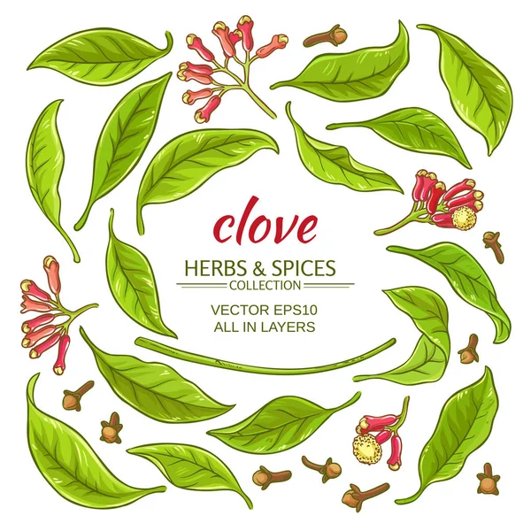 öğeleri kümesi karanfil