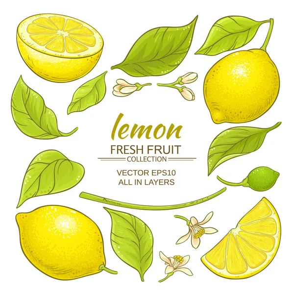 Conjunto de elementos de limón — Archivo Imágenes Vectoriales