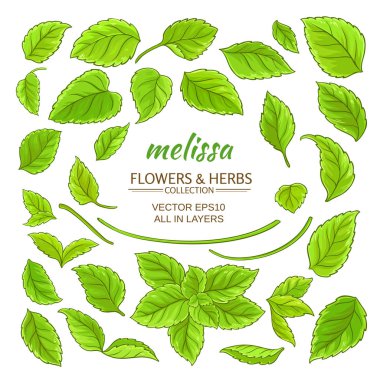 Melissa öğeleri kümesi