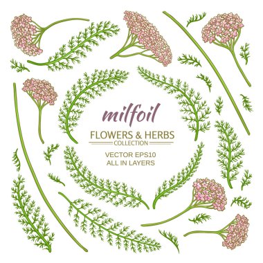 milfoil öğeleri kümesi