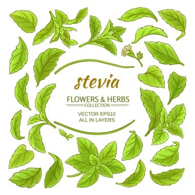 Stevia öğeleri kümesi vektör